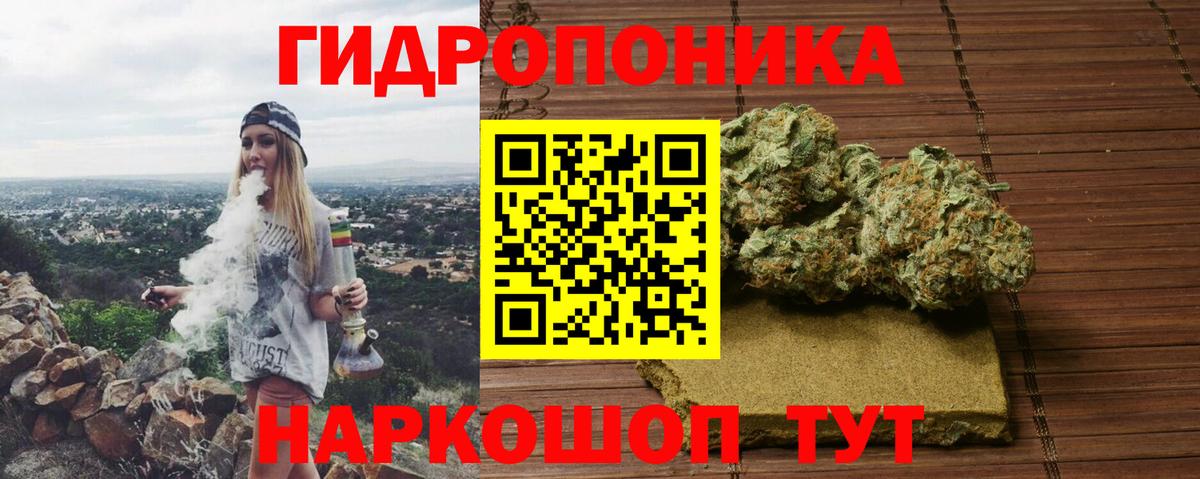 Бошки Шишки план Ковров